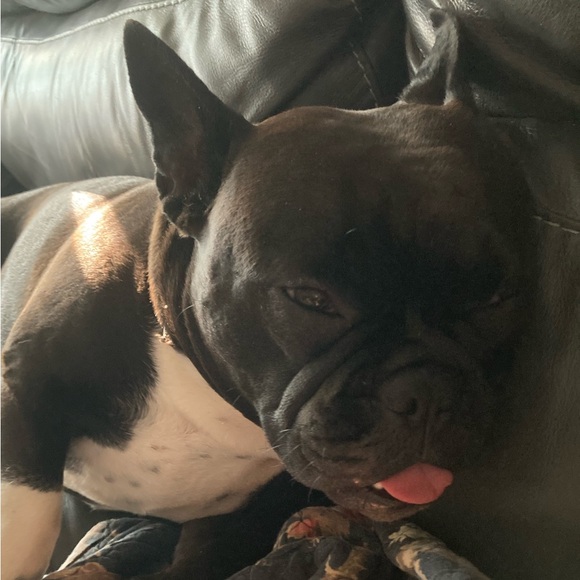 Meet your Posher, Lisa - Picture 1 of 1